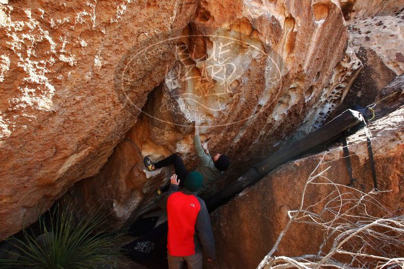 Bouldering in Hueco Tanks on 11/30/2019 with Blue Lizard Climbing and Yoga

Filename: SRM_20191130_1312030.jpg
Aperture: f/7.1
Shutter Speed: 1/250
Body: Canon EOS-1D Mark II
Lens: Canon EF 16-35mm f/2.8 L