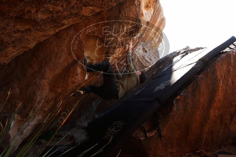 Bouldering in Hueco Tanks on 11/30/2019 with Blue Lizard Climbing and Yoga

Filename: SRM_20191130_1323490.jpg
Aperture: f/7.1
Shutter Speed: 1/250
Body: Canon EOS-1D Mark II
Lens: Canon EF 16-35mm f/2.8 L