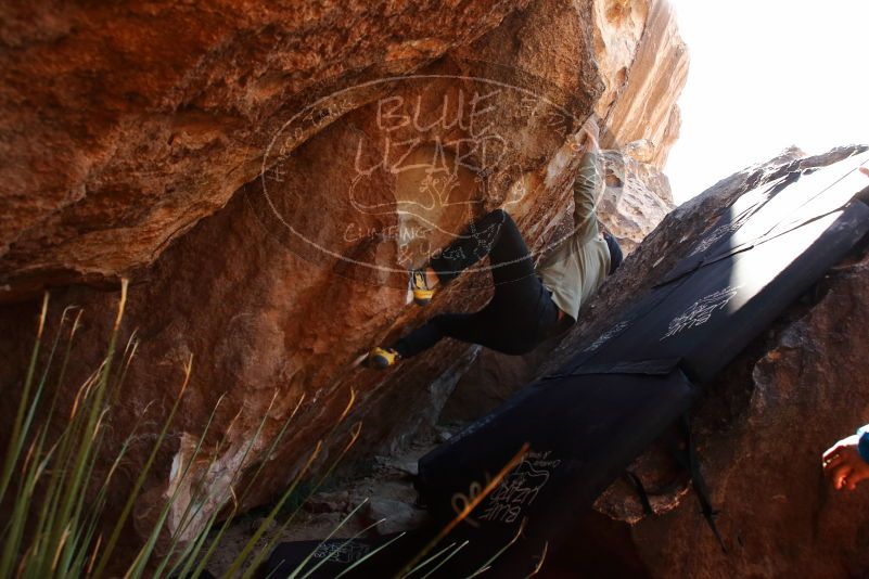 Bouldering in Hueco Tanks on 11/30/2019 with Blue Lizard Climbing and Yoga

Filename: SRM_20191130_1323570.jpg
Aperture: f/6.3
Shutter Speed: 1/250
Body: Canon EOS-1D Mark II
Lens: Canon EF 16-35mm f/2.8 L