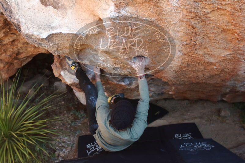 Bouldering in Hueco Tanks on 11/30/2019 with Blue Lizard Climbing and Yoga

Filename: SRM_20191130_1327000.jpg
Aperture: f/5.0
Shutter Speed: 1/250
Body: Canon EOS-1D Mark II
Lens: Canon EF 16-35mm f/2.8 L