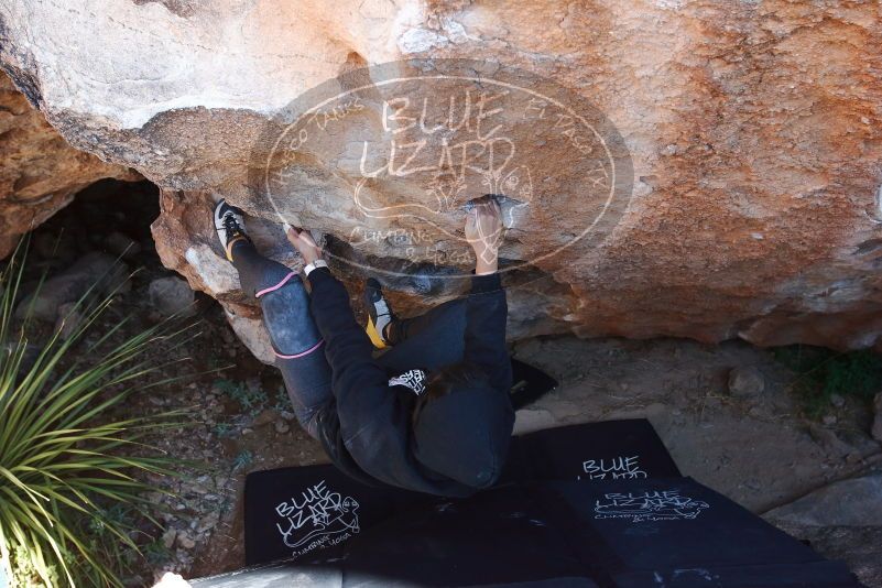Bouldering in Hueco Tanks on 11/30/2019 with Blue Lizard Climbing and Yoga

Filename: SRM_20191130_1332190.jpg
Aperture: f/6.3
Shutter Speed: 1/250
Body: Canon EOS-1D Mark II
Lens: Canon EF 16-35mm f/2.8 L
