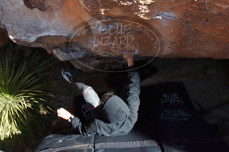 Bouldering in Hueco Tanks on 11/30/2019 with Blue Lizard Climbing and Yoga

Filename: SRM_20191130_1336380.jpg
Aperture: f/8.0
Shutter Speed: 1/250
Body: Canon EOS-1D Mark II
Lens: Canon EF 16-35mm f/2.8 L