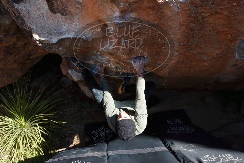 Bouldering in Hueco Tanks on 11/30/2019 with Blue Lizard Climbing and Yoga

Filename: SRM_20191130_1339290.jpg
Aperture: f/9.0
Shutter Speed: 1/250
Body: Canon EOS-1D Mark II
Lens: Canon EF 16-35mm f/2.8 L