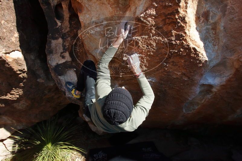Bouldering in Hueco Tanks on 11/30/2019 with Blue Lizard Climbing and Yoga

Filename: SRM_20191130_1339410.jpg
Aperture: f/11.0
Shutter Speed: 1/250
Body: Canon EOS-1D Mark II
Lens: Canon EF 16-35mm f/2.8 L