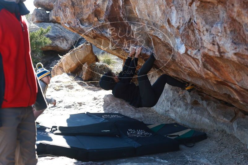Bouldering in Hueco Tanks on 11/30/2019 with Blue Lizard Climbing and Yoga

Filename: SRM_20191130_1512480.jpg
Aperture: f/4.5
Shutter Speed: 1/320
Body: Canon EOS-1D Mark II
Lens: Canon EF 50mm f/1.8 II