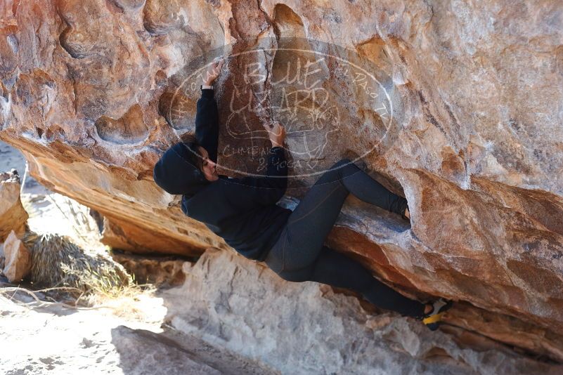 Bouldering in Hueco Tanks on 11/30/2019 with Blue Lizard Climbing and Yoga

Filename: SRM_20191130_1513050.jpg
Aperture: f/3.5
Shutter Speed: 1/320
Body: Canon EOS-1D Mark II
Lens: Canon EF 50mm f/1.8 II