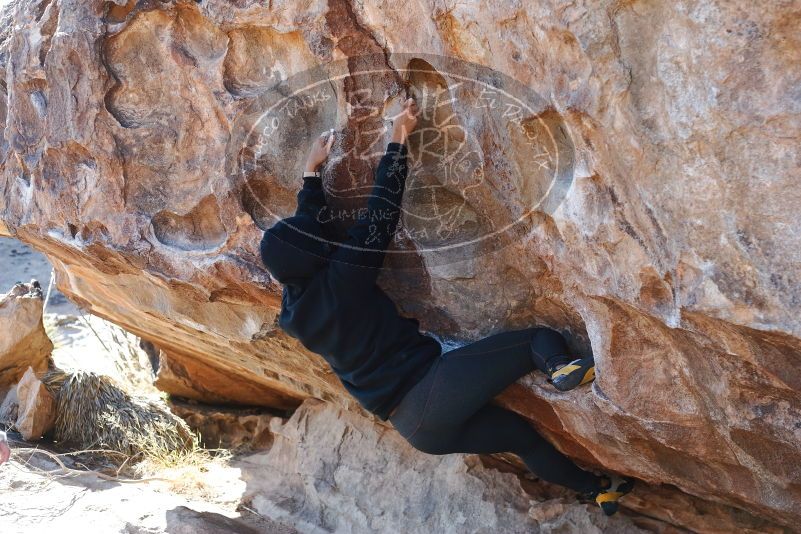 Bouldering in Hueco Tanks on 11/30/2019 with Blue Lizard Climbing and Yoga

Filename: SRM_20191130_1513100.jpg
Aperture: f/3.5
Shutter Speed: 1/320
Body: Canon EOS-1D Mark II
Lens: Canon EF 50mm f/1.8 II