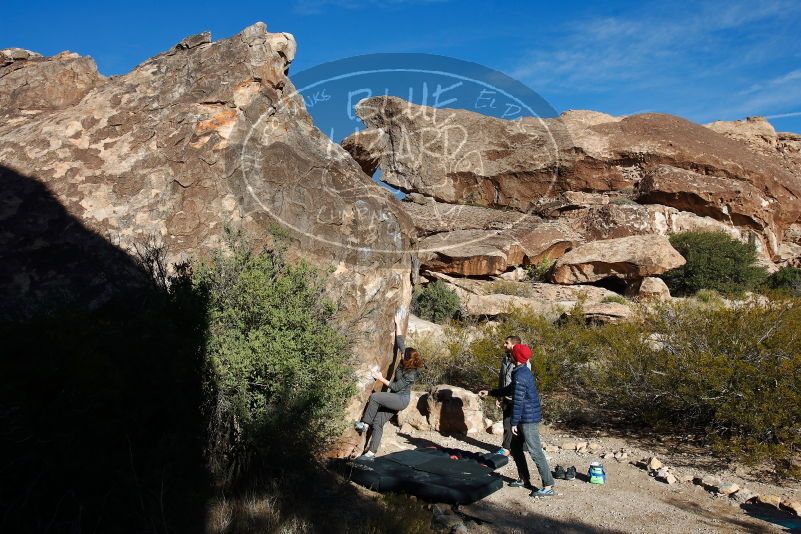 Bouldering in Hueco Tanks on 12/06/2019 with Blue Lizard Climbing and Yoga

Filename: SRM_20191206_1007430.jpg
Aperture: f/5.6
Shutter Speed: 1/640
Body: Canon EOS-1D Mark II
Lens: Canon EF 16-35mm f/2.8 L