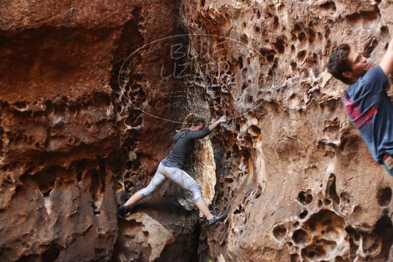 Bouldering in Hueco Tanks on 12/06/2019 with Blue Lizard Climbing and Yoga

Filename: SRM_20191206_1523581.jpg
Aperture: f/2.5
Shutter Speed: 1/250
Body: Canon EOS-1D Mark II
Lens: Canon EF 50mm f/1.8 II