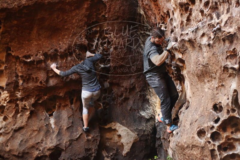 Bouldering in Hueco Tanks on 12/06/2019 with Blue Lizard Climbing and Yoga

Filename: SRM_20191206_1531480.jpg
Aperture: f/2.2
Shutter Speed: 1/160
Body: Canon EOS-1D Mark II
Lens: Canon EF 50mm f/1.8 II