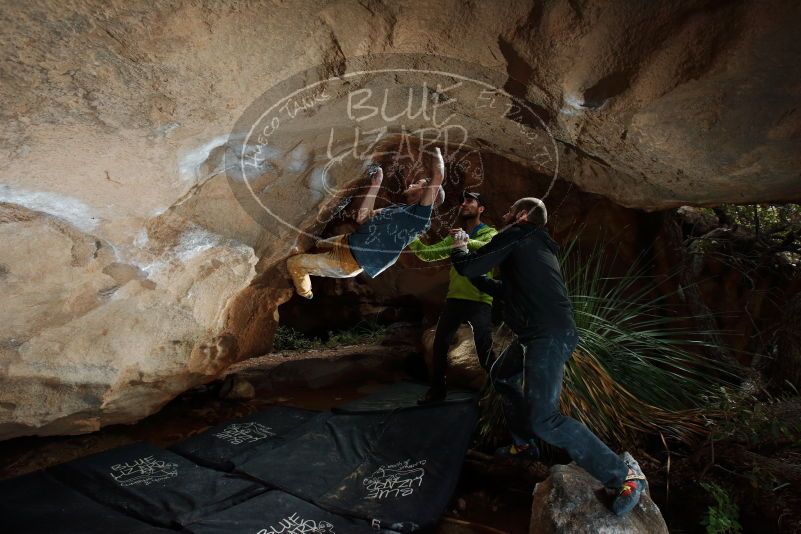 Bouldering in Hueco Tanks on 12/11/2019 with Blue Lizard Climbing and Yoga

Filename: SRM_20191211_1250340.jpg
Aperture: f/6.3
Shutter Speed: 1/250
Body: Canon EOS-1D Mark II
Lens: Canon EF 16-35mm f/2.8 L