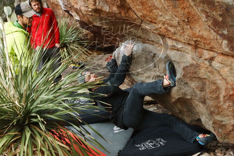 Bouldering in Hueco Tanks on 12/11/2019 with Blue Lizard Climbing and Yoga

Filename: SRM_20191211_1606020.jpg
Aperture: f/4.5
Shutter Speed: 1/250
Body: Canon EOS-1D Mark II
Lens: Canon EF 50mm f/1.8 II