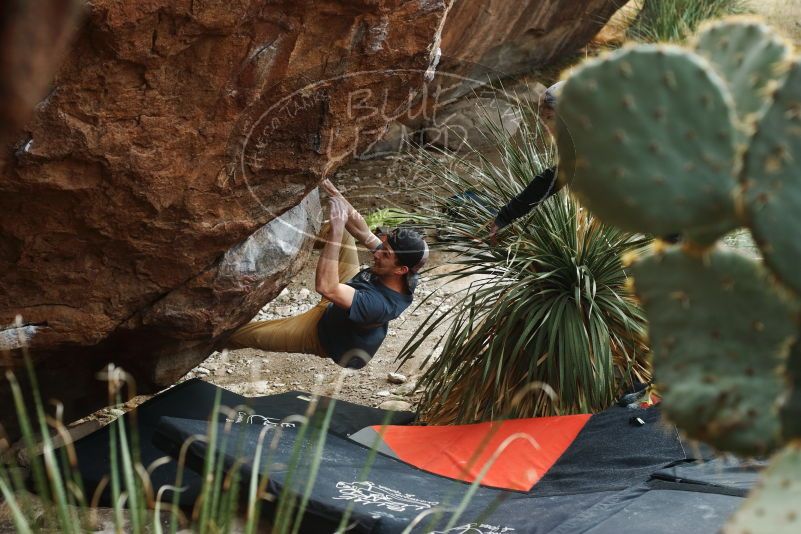 Bouldering in Hueco Tanks on 12/11/2019 with Blue Lizard Climbing and Yoga

Filename: SRM_20191211_1623420.jpg
Aperture: f/4.5
Shutter Speed: 1/250
Body: Canon EOS-1D Mark II
Lens: Canon EF 50mm f/1.8 II