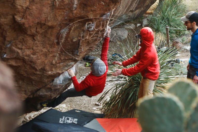 Bouldering in Hueco Tanks on 12/11/2019 with Blue Lizard Climbing and Yoga

Filename: SRM_20191211_1701320.jpg
Aperture: f/2.8
Shutter Speed: 1/500
Body: Canon EOS-1D Mark II
Lens: Canon EF 50mm f/1.8 II