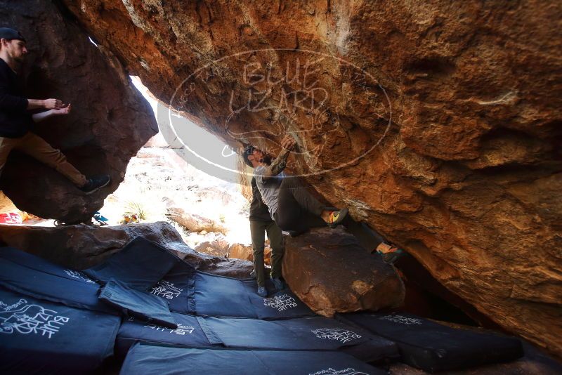 Bouldering in Hueco Tanks on 12/13/2019 with Blue Lizard Climbing and Yoga

Filename: SRM_20191213_1509530.jpg
Aperture: f/4.0
Shutter Speed: 1/250
Body: Canon EOS-1D Mark II
Lens: Canon EF 16-35mm f/2.8 L