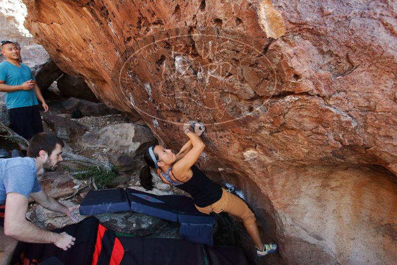 Bouldering in Hueco Tanks on 12/14/2019 with Blue Lizard Climbing and Yoga

Filename: SRM_20191214_1133500.jpg
Aperture: f/5.0
Shutter Speed: 1/250
Body: Canon EOS-1D Mark II
Lens: Canon EF 16-35mm f/2.8 L
