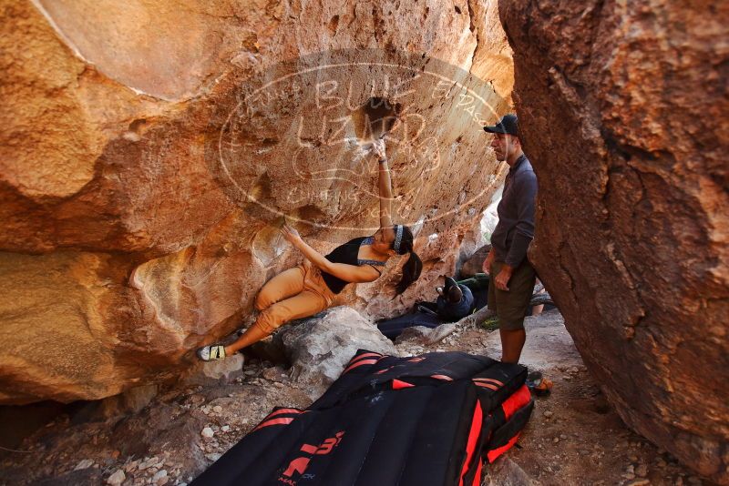 Bouldering in Hueco Tanks on 12/14/2019 with Blue Lizard Climbing and Yoga

Filename: SRM_20191214_1147060.jpg
Aperture: f/3.2
Shutter Speed: 1/320
Body: Canon EOS-1D Mark II
Lens: Canon EF 16-35mm f/2.8 L