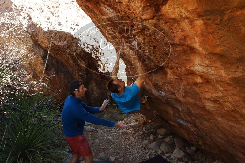 Bouldering in Hueco Tanks on 12/14/2019 with Blue Lizard Climbing and Yoga

Filename: SRM_20191214_1155040.jpg
Aperture: f/8.0
Shutter Speed: 1/250
Body: Canon EOS-1D Mark II
Lens: Canon EF 16-35mm f/2.8 L