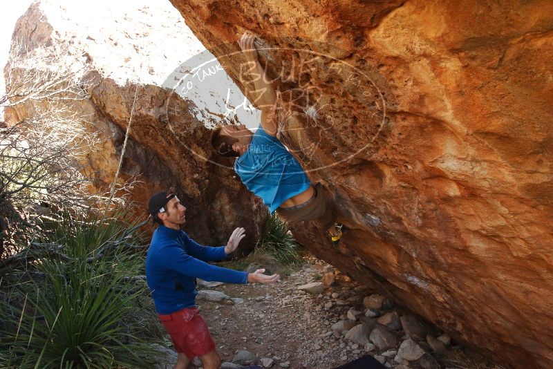 Bouldering in Hueco Tanks on 12/14/2019 with Blue Lizard Climbing and Yoga

Filename: SRM_20191214_1155060.jpg
Aperture: f/7.1
Shutter Speed: 1/250
Body: Canon EOS-1D Mark II
Lens: Canon EF 16-35mm f/2.8 L