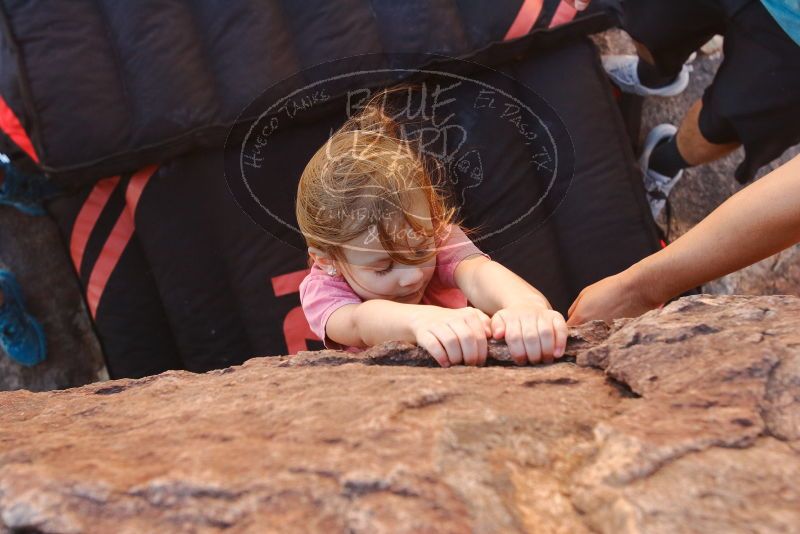 Bouldering in Hueco Tanks on 12/14/2019 with Blue Lizard Climbing and Yoga

Filename: SRM_20191214_1222360.jpg
Aperture: f/5.6
Shutter Speed: 1/320
Body: Canon EOS-1D Mark II
Lens: Canon EF 16-35mm f/2.8 L