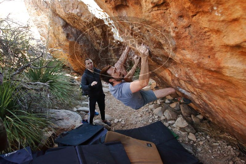 Bouldering in Hueco Tanks on 12/14/2019 with Blue Lizard Climbing and Yoga

Filename: SRM_20191214_1224530.jpg
Aperture: f/4.5
Shutter Speed: 1/250
Body: Canon EOS-1D Mark II
Lens: Canon EF 16-35mm f/2.8 L