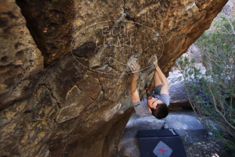 Bouldering in Hueco Tanks on 12/14/2019 with Blue Lizard Climbing and Yoga

Filename: SRM_20191214_1545201.jpg
Aperture: f/3.2
Shutter Speed: 1/250
Body: Canon EOS-1D Mark II
Lens: Canon EF 16-35mm f/2.8 L