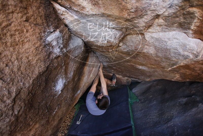Bouldering in Hueco Tanks on 12/14/2019 with Blue Lizard Climbing and Yoga

Filename: SRM_20191214_1626480.jpg
Aperture: f/4.5
Shutter Speed: 1/250
Body: Canon EOS-1D Mark II
Lens: Canon EF 16-35mm f/2.8 L