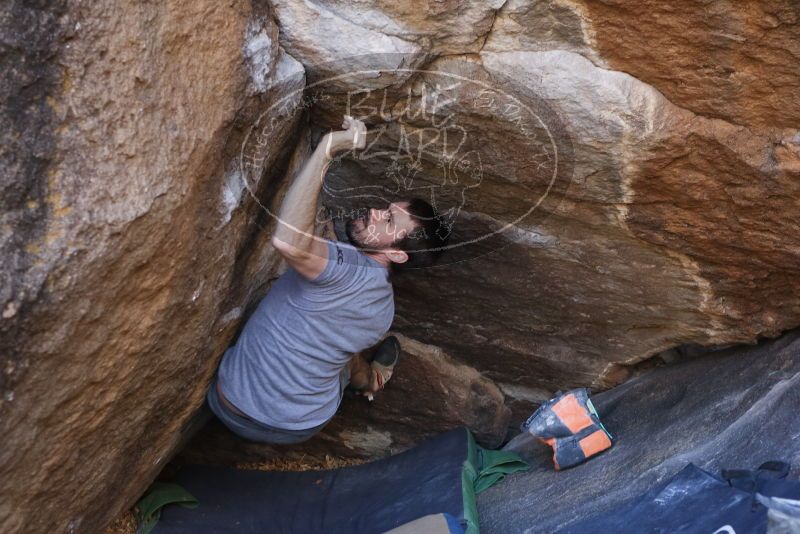 Bouldering in Hueco Tanks on 12/14/2019 with Blue Lizard Climbing and Yoga

Filename: SRM_20191214_1633170.jpg
Aperture: f/4.0
Shutter Speed: 1/250
Body: Canon EOS-1D Mark II
Lens: Canon EF 50mm f/1.8 II