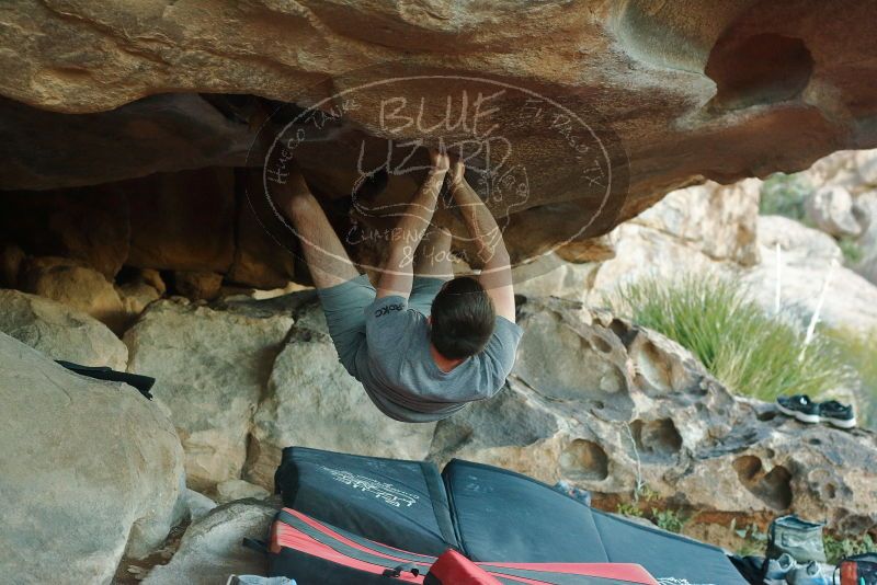 Bouldering in Hueco Tanks on 12/14/2019 with Blue Lizard Climbing and Yoga

Filename: SRM_20191214_1736510.jpg
Aperture: f/4.0
Shutter Speed: 1/250
Body: Canon EOS-1D Mark II
Lens: Canon EF 50mm f/1.8 II