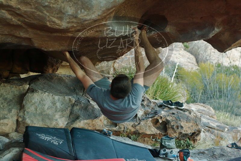 Bouldering in Hueco Tanks on 12/14/2019 with Blue Lizard Climbing and Yoga

Filename: SRM_20191214_1736570.jpg
Aperture: f/5.0
Shutter Speed: 1/250
Body: Canon EOS-1D Mark II
Lens: Canon EF 50mm f/1.8 II