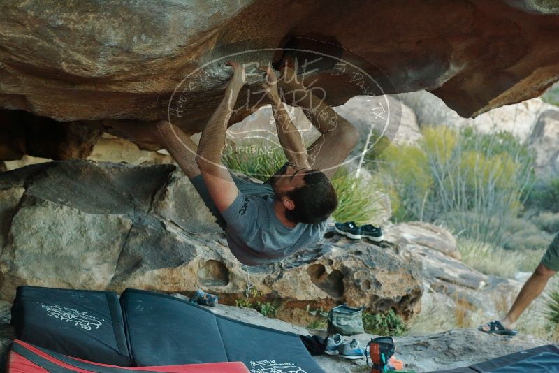 Bouldering in Hueco Tanks on 12/14/2019 with Blue Lizard Climbing and Yoga

Filename: SRM_20191214_1736580.jpg
Aperture: f/5.0
Shutter Speed: 1/250
Body: Canon EOS-1D Mark II
Lens: Canon EF 50mm f/1.8 II