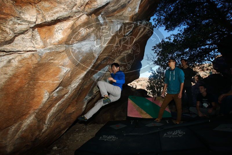 Bouldering in Hueco Tanks on 12/15/2019 with Blue Lizard Climbing and Yoga

Filename: SRM_20191215_1056570.jpg
Aperture: f/8.0
Shutter Speed: 1/250
Body: Canon EOS-1D Mark II
Lens: Canon EF 16-35mm f/2.8 L