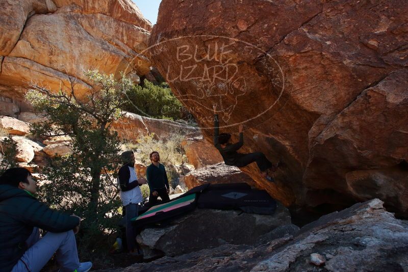 Bouldering in Hueco Tanks on 12/15/2019 with Blue Lizard Climbing and Yoga

Filename: SRM_20191215_1330330.jpg
Aperture: f/9.0
Shutter Speed: 1/250
Body: Canon EOS-1D Mark II
Lens: Canon EF 16-35mm f/2.8 L