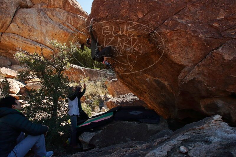 Bouldering in Hueco Tanks on 12/15/2019 with Blue Lizard Climbing and Yoga

Filename: SRM_20191215_1331050.jpg
Aperture: f/9.0
Shutter Speed: 1/250
Body: Canon EOS-1D Mark II
Lens: Canon EF 16-35mm f/2.8 L