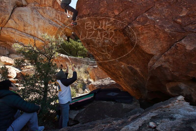 Bouldering in Hueco Tanks on 12/15/2019 with Blue Lizard Climbing and Yoga

Filename: SRM_20191215_1331240.jpg
Aperture: f/9.0
Shutter Speed: 1/250
Body: Canon EOS-1D Mark II
Lens: Canon EF 16-35mm f/2.8 L