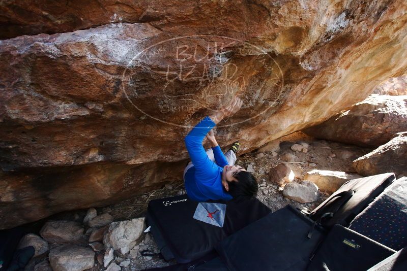Bouldering in Hueco Tanks on 12/15/2019 with Blue Lizard Climbing and Yoga

Filename: SRM_20191215_1614120.jpg
Aperture: f/4.5
Shutter Speed: 1/250
Body: Canon EOS-1D Mark II
Lens: Canon EF 16-35mm f/2.8 L