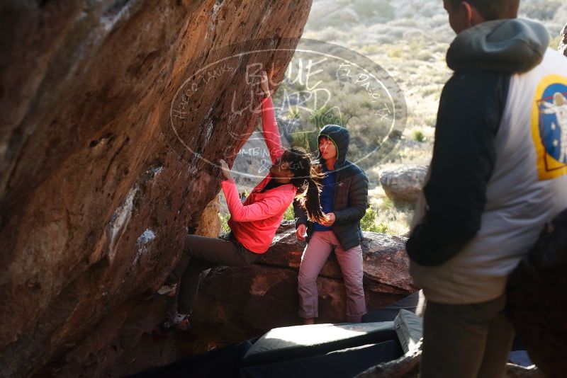 Bouldering in Hueco Tanks on 12/15/2019 with Blue Lizard Climbing and Yoga

Filename: SRM_20191215_1659580.jpg
Aperture: f/4.0
Shutter Speed: 1/250
Body: Canon EOS-1D Mark II
Lens: Canon EF 50mm f/1.8 II