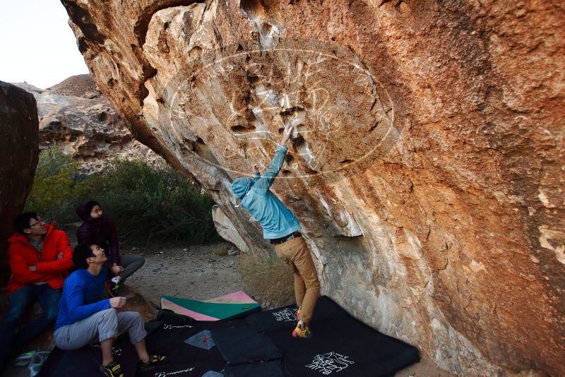 Bouldering in Hueco Tanks on 12/15/2019 with Blue Lizard Climbing and Yoga

Filename: SRM_20191215_1758130.jpg
Aperture: f/4.0
Shutter Speed: 1/250
Body: Canon EOS-1D Mark II
Lens: Canon EF 16-35mm f/2.8 L