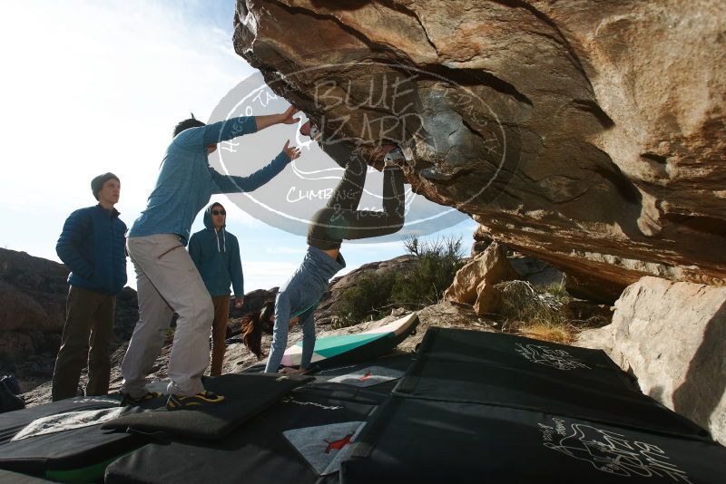 Bouldering in Hueco Tanks on 12/16/2019 with Blue Lizard Climbing and Yoga

Filename: SRM_20191216_1033540.jpg
Aperture: f/8.0
Shutter Speed: 1/250
Body: Canon EOS-1D Mark II
Lens: Canon EF 16-35mm f/2.8 L