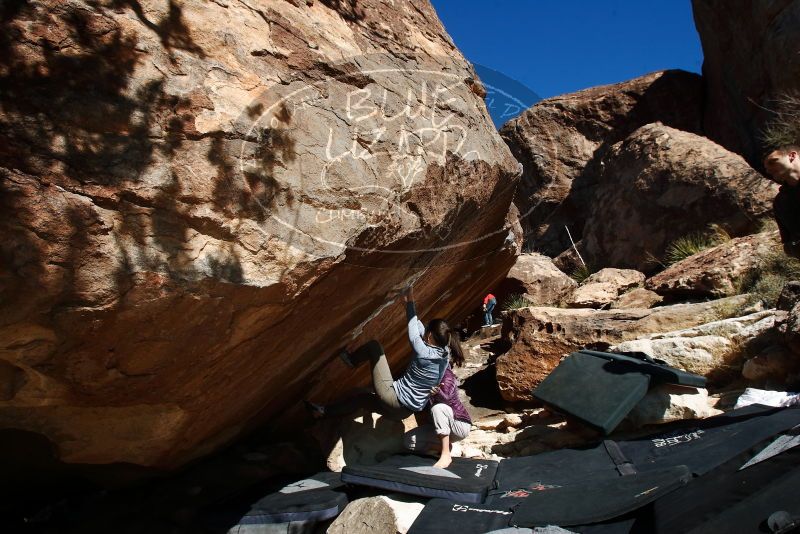 Bouldering in Hueco Tanks on 12/16/2019 with Blue Lizard Climbing and Yoga

Filename: SRM_20191216_1322480.jpg
Aperture: f/8.0
Shutter Speed: 1/250
Body: Canon EOS-1D Mark II
Lens: Canon EF 16-35mm f/2.8 L