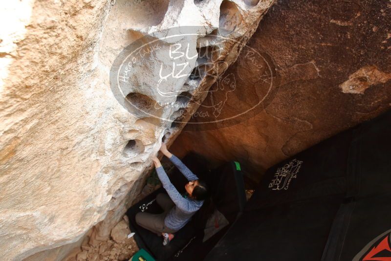 Bouldering in Hueco Tanks on 12/16/2019 with Blue Lizard Climbing and Yoga

Filename: SRM_20191216_1525560.jpg
Aperture: f/5.0
Shutter Speed: 1/250
Body: Canon EOS-1D Mark II
Lens: Canon EF 16-35mm f/2.8 L