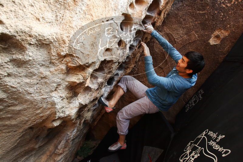 Bouldering in Hueco Tanks on 12/16/2019 with Blue Lizard Climbing and Yoga

Filename: SRM_20191216_1533060.jpg
Aperture: f/5.0
Shutter Speed: 1/250
Body: Canon EOS-1D Mark II
Lens: Canon EF 16-35mm f/2.8 L