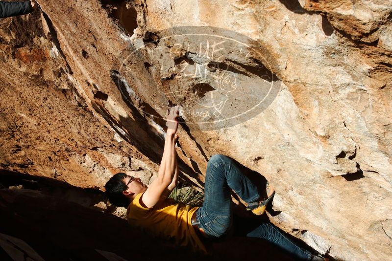 Bouldering in Hueco Tanks on 12/16/2019 with Blue Lizard Climbing and Yoga

Filename: SRM_20191216_1555180.jpg
Aperture: f/10.0
Shutter Speed: 1/500
Body: Canon EOS-1D Mark II
Lens: Canon EF 16-35mm f/2.8 L