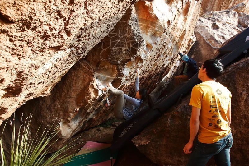Bouldering in Hueco Tanks on 12/16/2019 with Blue Lizard Climbing and Yoga

Filename: SRM_20191216_1616570.jpg
Aperture: f/5.6
Shutter Speed: 1/250
Body: Canon EOS-1D Mark II
Lens: Canon EF 16-35mm f/2.8 L