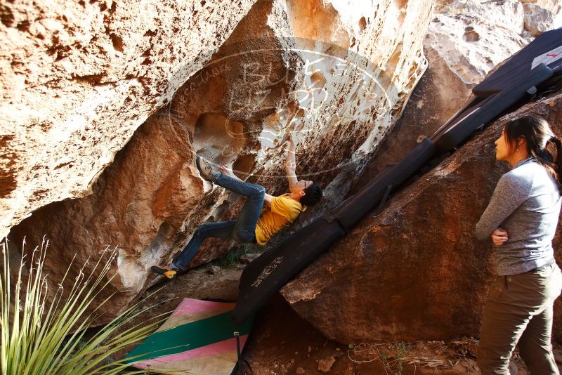 Bouldering in Hueco Tanks on 12/16/2019 with Blue Lizard Climbing and Yoga

Filename: SRM_20191216_1624410.jpg
Aperture: f/4.0
Shutter Speed: 1/250
Body: Canon EOS-1D Mark II
Lens: Canon EF 16-35mm f/2.8 L