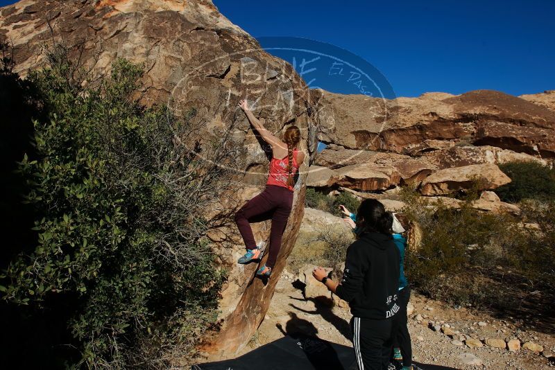 Bouldering in Hueco Tanks on 12/19/2019 with Blue Lizard Climbing and Yoga

Filename: SRM_20191219_1039130.jpg
Aperture: f/7.1
Shutter Speed: 1/640
Body: Canon EOS-1D Mark II
Lens: Canon EF 16-35mm f/2.8 L