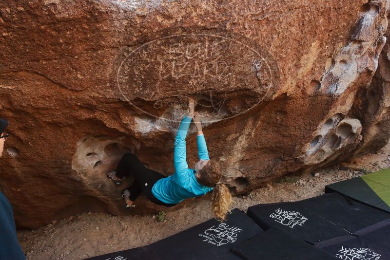 Bouldering in Hueco Tanks on 12/19/2019 with Blue Lizard Climbing and Yoga

Filename: SRM_20191219_1108460.jpg
Aperture: f/5.6
Shutter Speed: 1/250
Body: Canon EOS-1D Mark II
Lens: Canon EF 16-35mm f/2.8 L