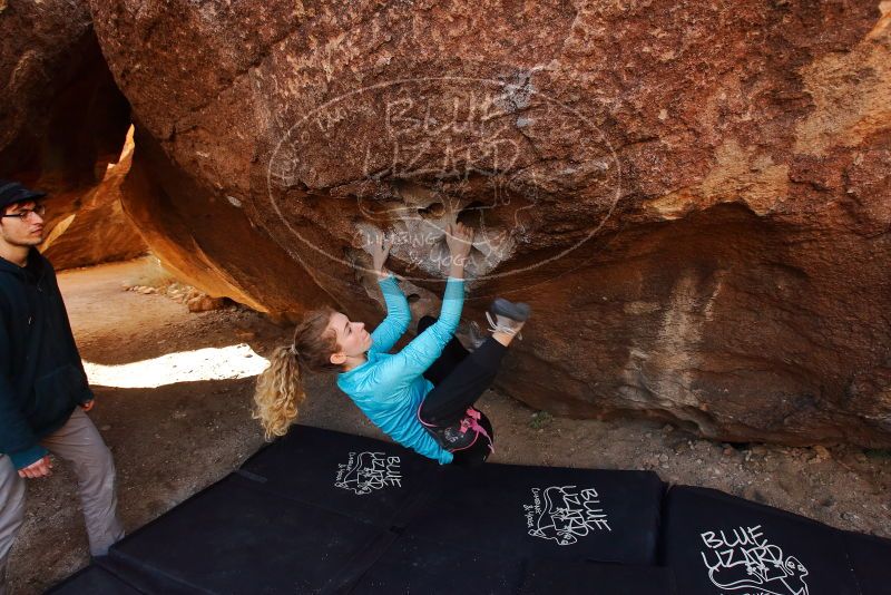 Bouldering in Hueco Tanks on 12/19/2019 with Blue Lizard Climbing and Yoga

Filename: SRM_20191219_1112120.jpg
Aperture: f/5.0
Shutter Speed: 1/250
Body: Canon EOS-1D Mark II
Lens: Canon EF 16-35mm f/2.8 L