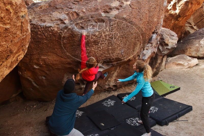 Bouldering in Hueco Tanks on 12/19/2019 with Blue Lizard Climbing and Yoga

Filename: SRM_20191219_1126400.jpg
Aperture: f/5.6
Shutter Speed: 1/250
Body: Canon EOS-1D Mark II
Lens: Canon EF 16-35mm f/2.8 L