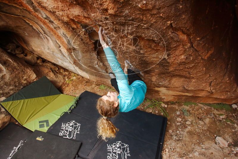 Bouldering in Hueco Tanks on 12/19/2019 with Blue Lizard Climbing and Yoga

Filename: SRM_20191219_1215170.jpg
Aperture: f/4.0
Shutter Speed: 1/200
Body: Canon EOS-1D Mark II
Lens: Canon EF 16-35mm f/2.8 L